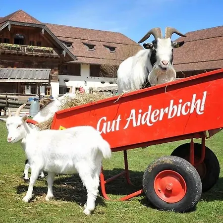 Isabella Appartamento Henndorf am Wallersee